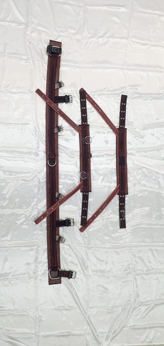 Шлея шорка Шора Европейского образца англичанка немка