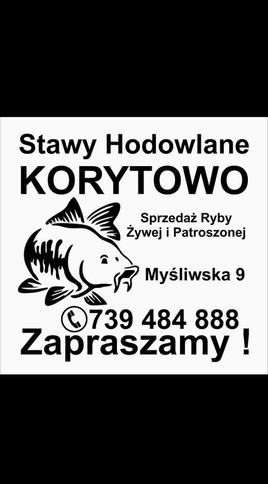 Karp kroczek nadwyżka