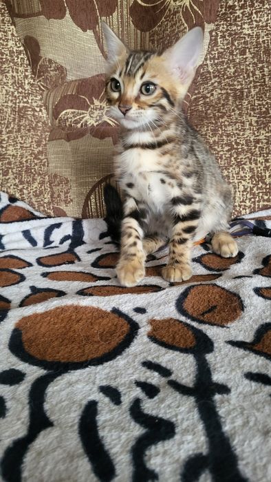 Девочка с документами.