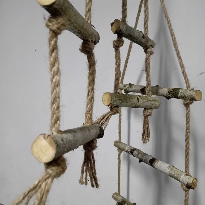 Drabinka dla papug i ptaków