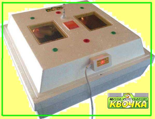 Квочка для всих яєць инкубатор Інкубатор