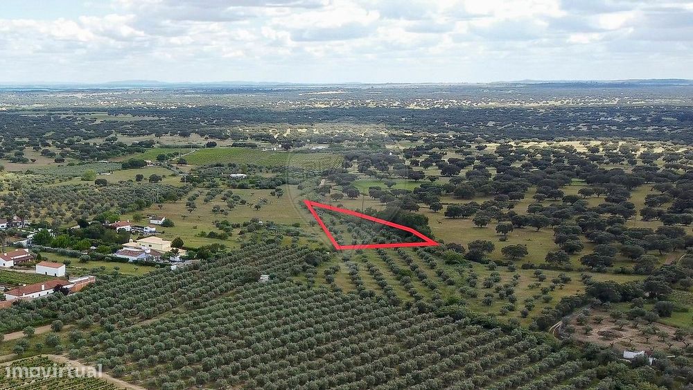 Terreno  para venda