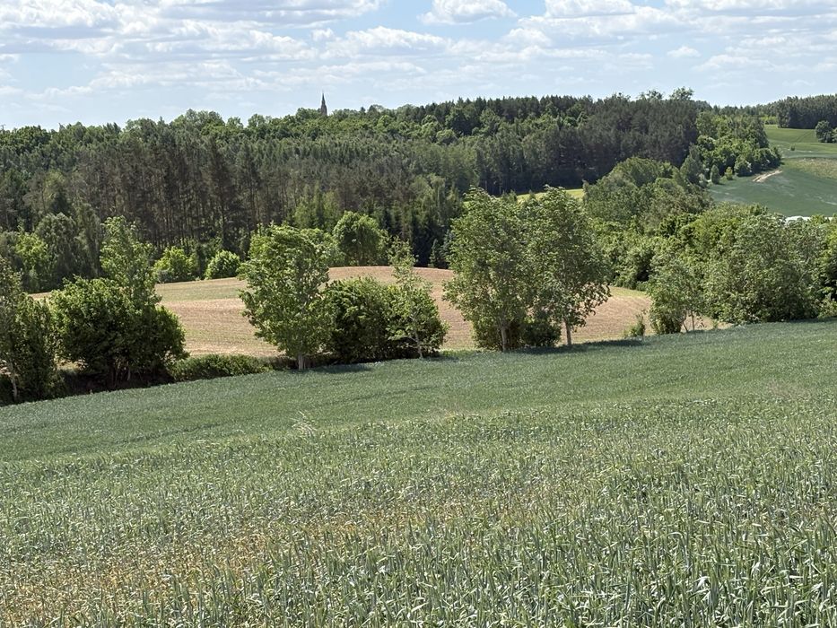 Działka budowlana 3000 m2,pojezierze brodnickie z warunkami zabudowy