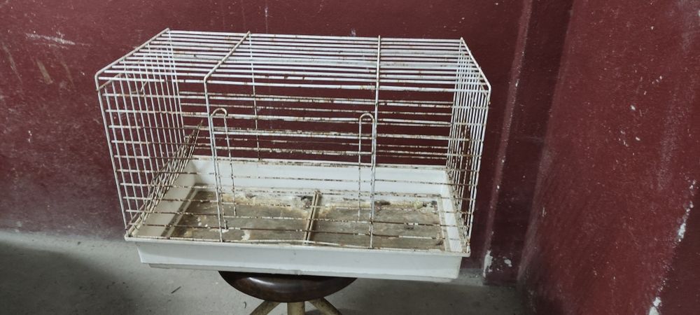 Gaiola grande branca