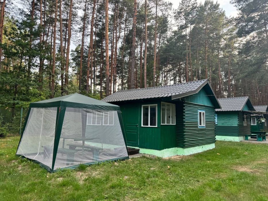Відпочинок на Шацьких озерах ( оз. Пісочне) 50 м до озера