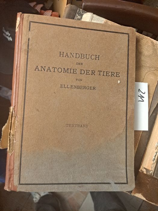 W.Ellenberger Podręcznik anatomii zwierząt dla artystów