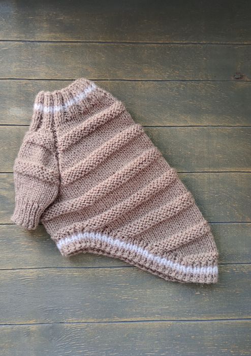 Одяг для собак. Светр для собаки