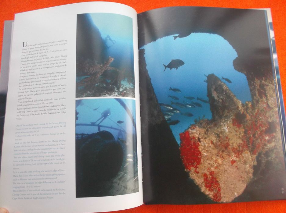 Sob os mares de Cabo Verde (Diving into adventure) – Vasco Pinhol