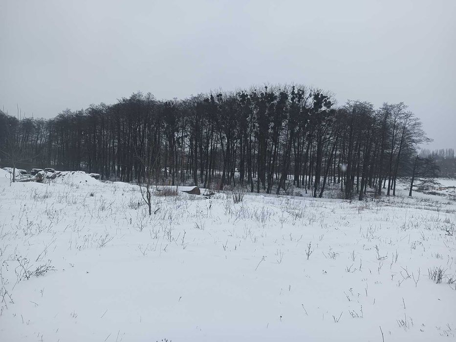 Продаж чарівної земельної ділянки в Стижавці