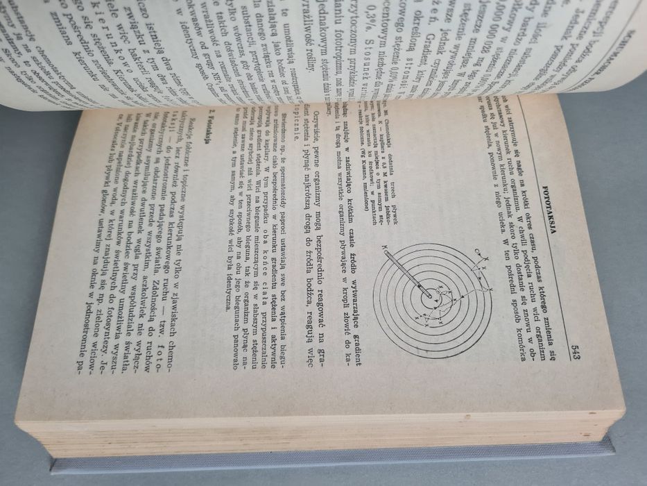 Botanika - E. Strasburger