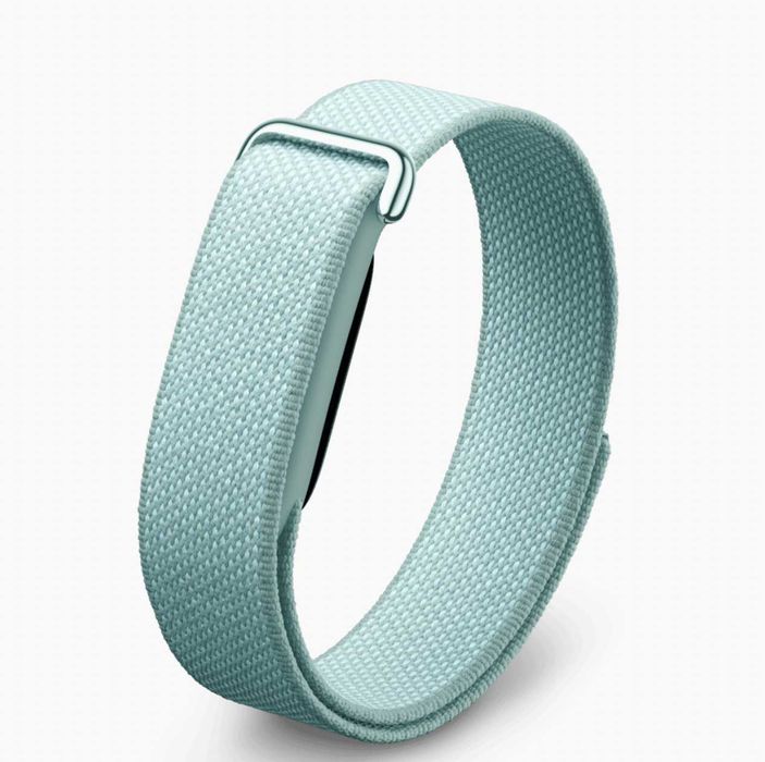 Фітнес-браслет Google Fitbit Air