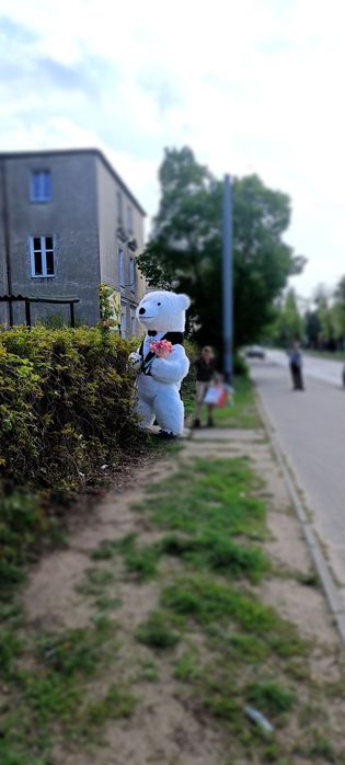 Biały miś dmuchany