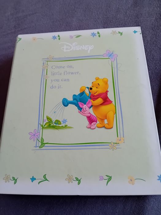 Segregator Kubuś puchatek