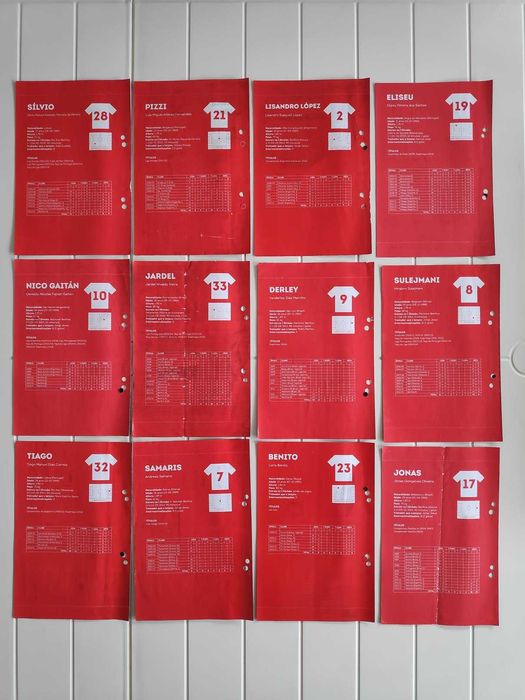 Colecção Record - Plantel Benfica 2014 a 2015