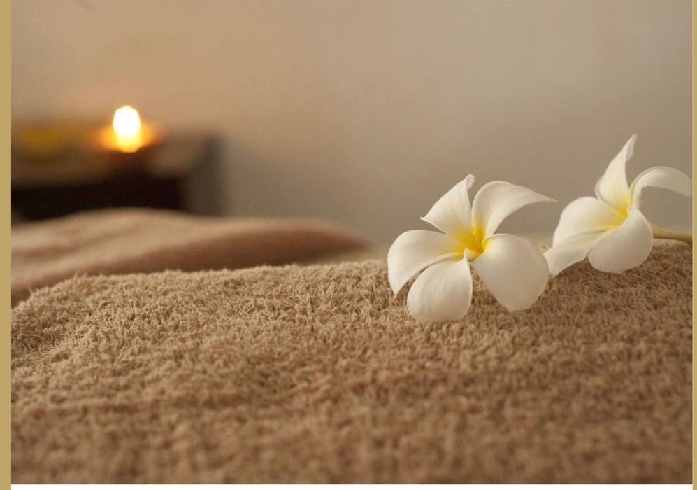 Massage therapist