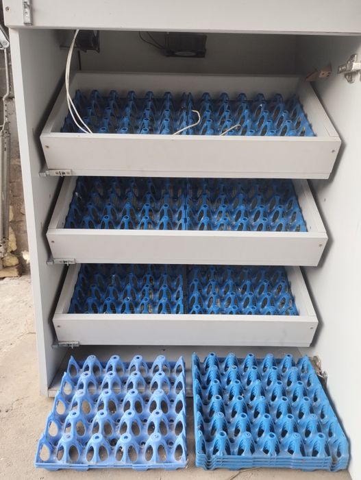 Sprzedam duży inkubator 360 jajek