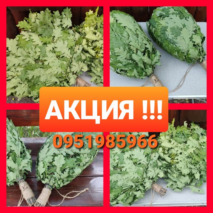 ‼️Веники віники дубовые для сауны бани чана. Веники хвойные, полевые‼️