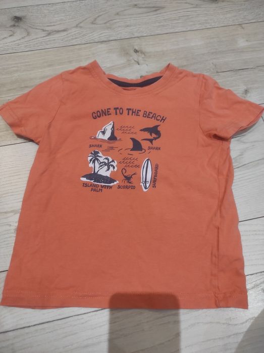 T-shirt chłopięcy Lupilu
