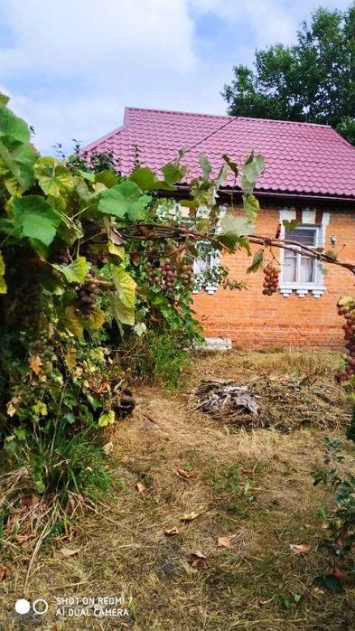 Продам будинок в с. Литвинівка, Вишгородський р-н