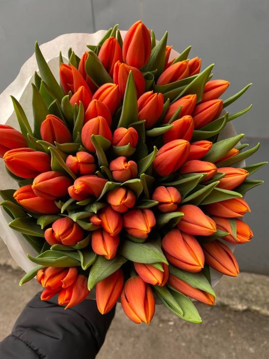 ХІТ! Український тюльпан / гурт опт / від 30 грн / висота до 50 см