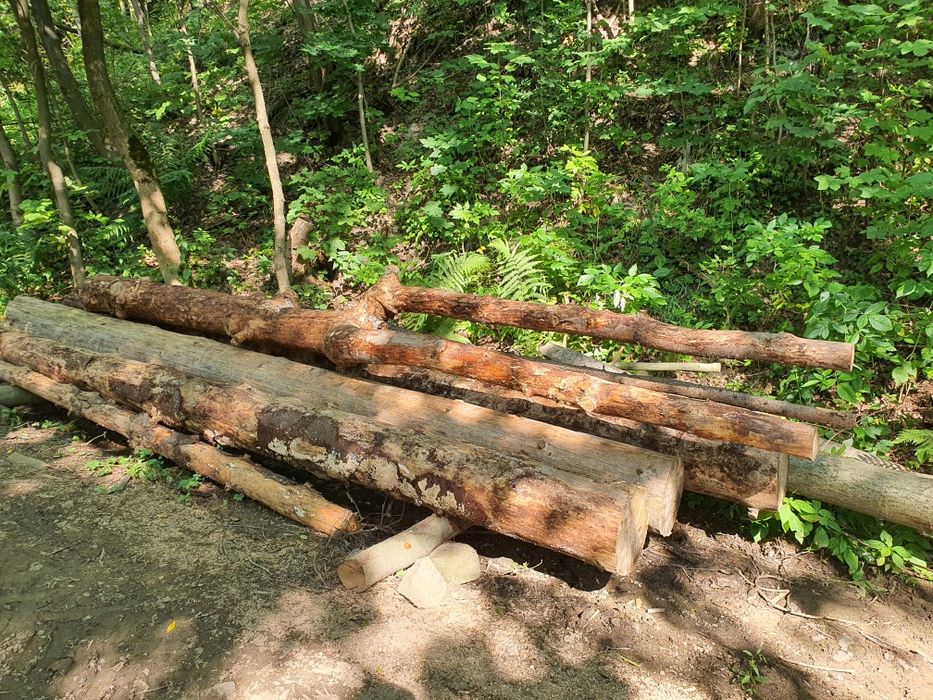 Drewno dekoracyjne 5m