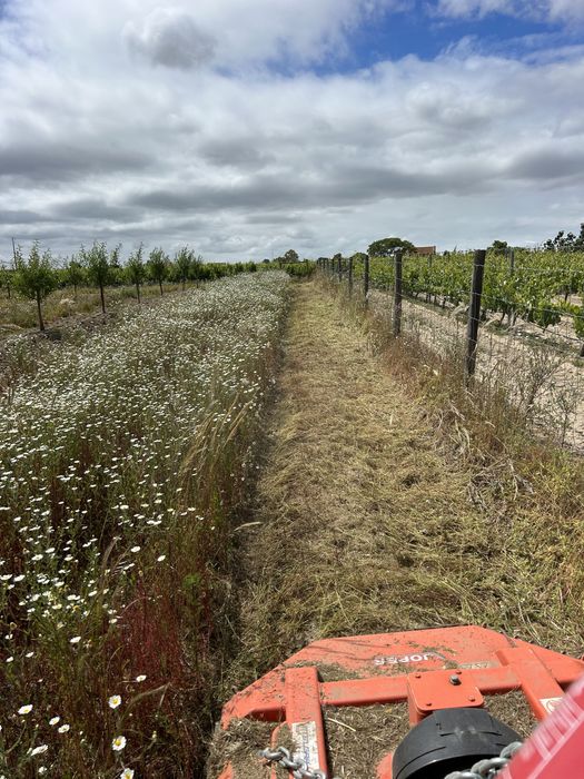 Limpeza de terrenos e serviços agrícolas e florestais .