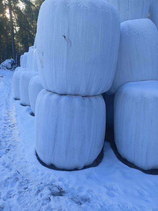 Baloty sianokiszonki 2025