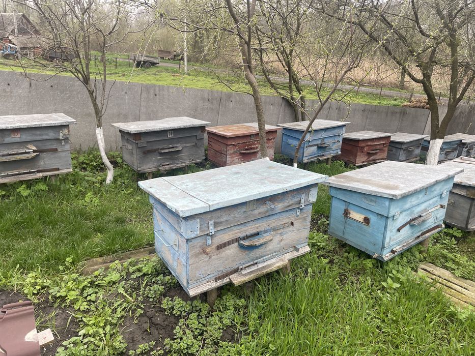 Продам пусті вулики