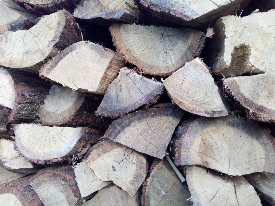 Drewno kominkowe DĄB dębowe opałowe