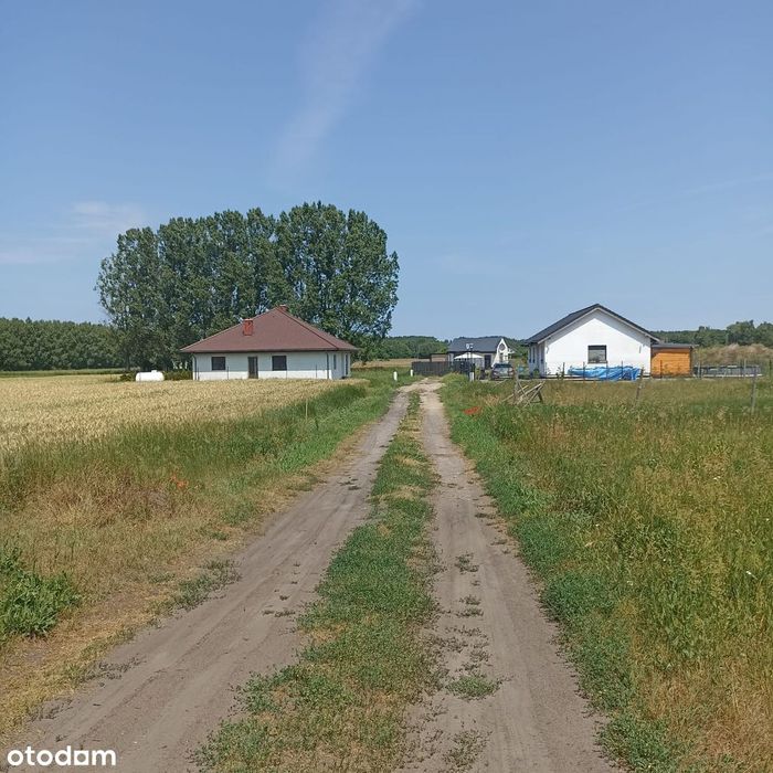Działka budowlana Grodztwo (gm. KOWAL)