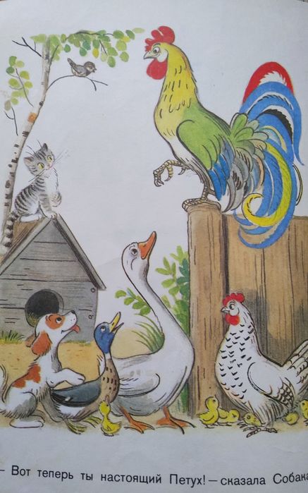 Сказки и картинки Сутеева