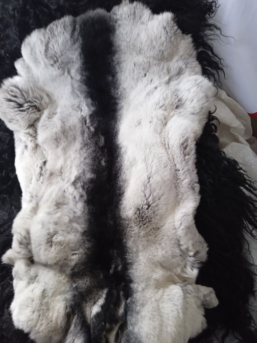 Натуральні мехові шкурки рекс