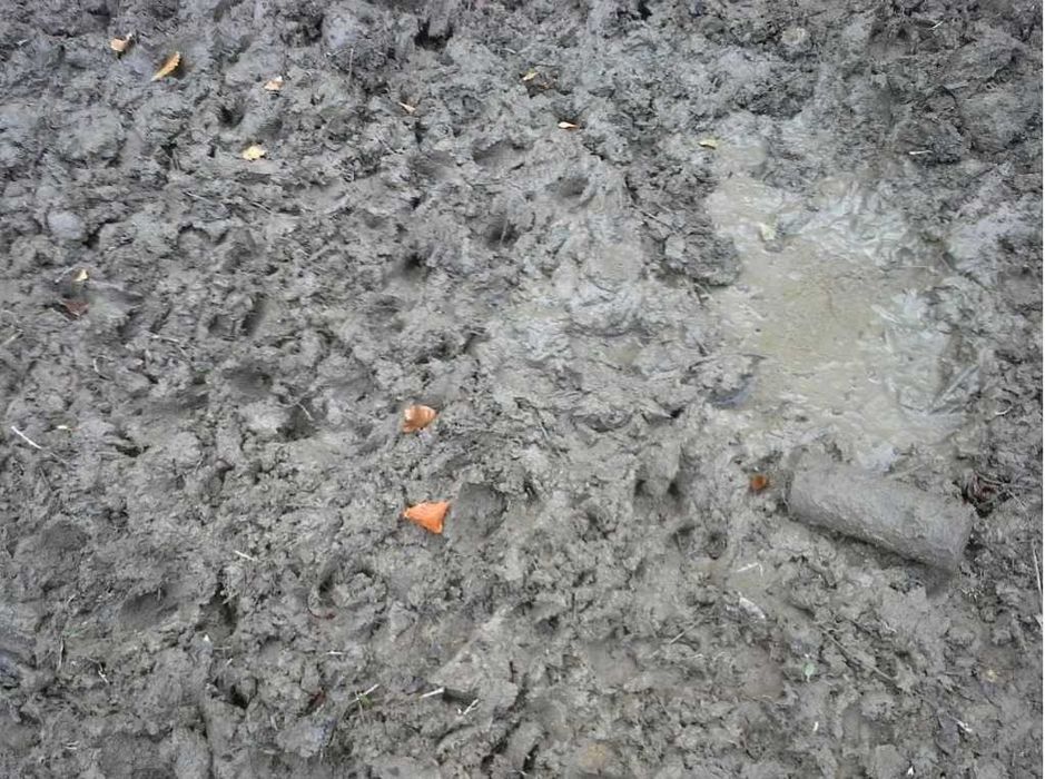 GSM Zegar na nęcisko - Nowa ulepszona wersja