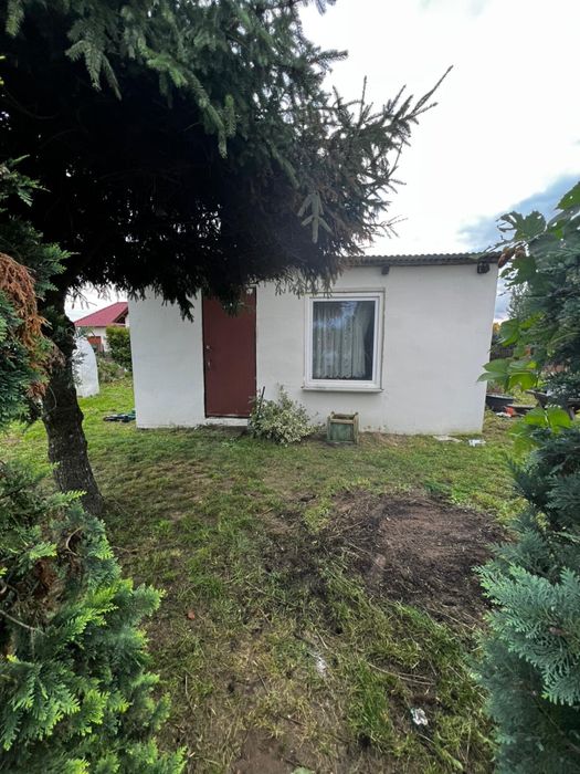 Działka ROD – Wolsztyn, ogród nr 2