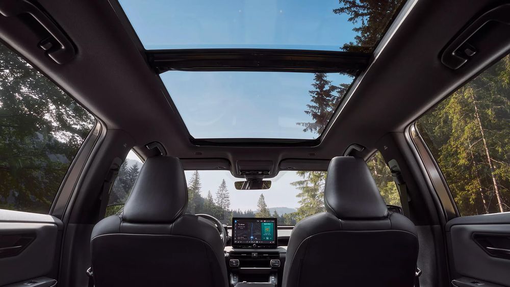 Zdjęcie w galerii numer 8