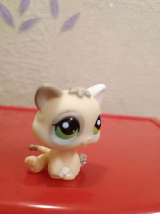 LpS cat Kitten Kotek shorthair baby kot kociak malutk stara kolekcja