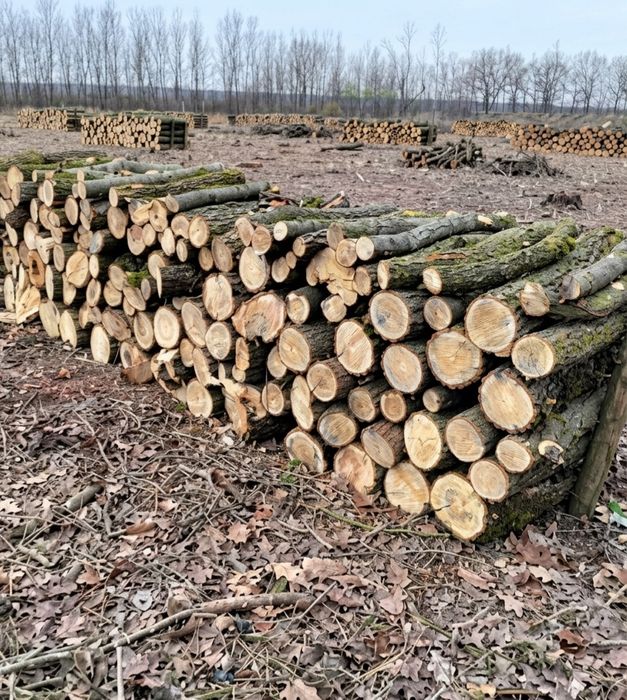 Якісні дрова дуб вільха береза Чесний об’єм щільна укладка без повітря Доставка сьогодні Телефонуйте! 3/6.5/9.5/25.5 м3