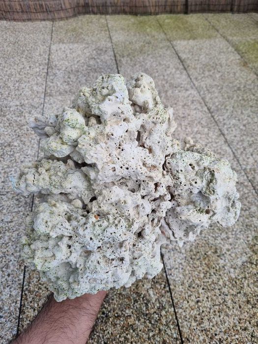 Pedra Coral para Aquário