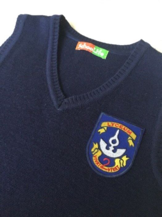 Вовняна жилетка до школи, синя