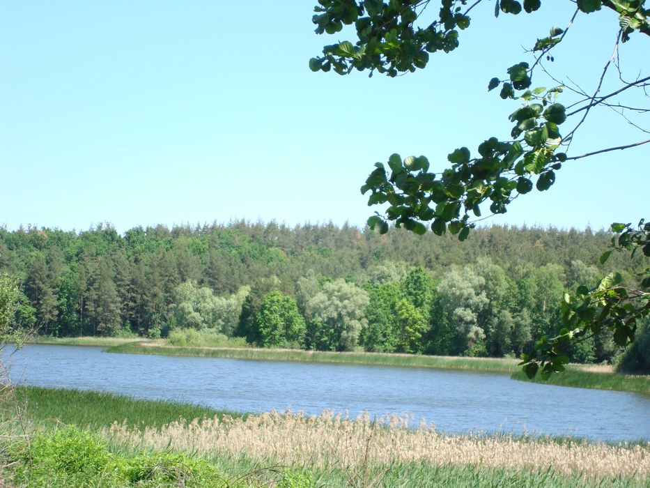 Продам ділянку 6- 12 соток в СТ Стави між Забір´я і Липовий скиток