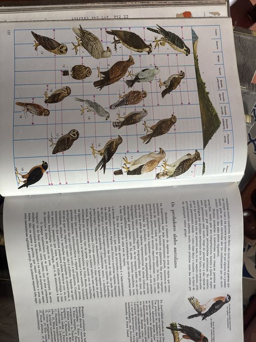 Coleção A Fauna 11 volumes e Animais em perigo WWF - editora Alfa