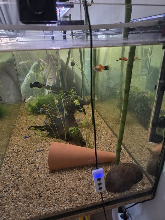 Vendo aquário completo 300l 120cm