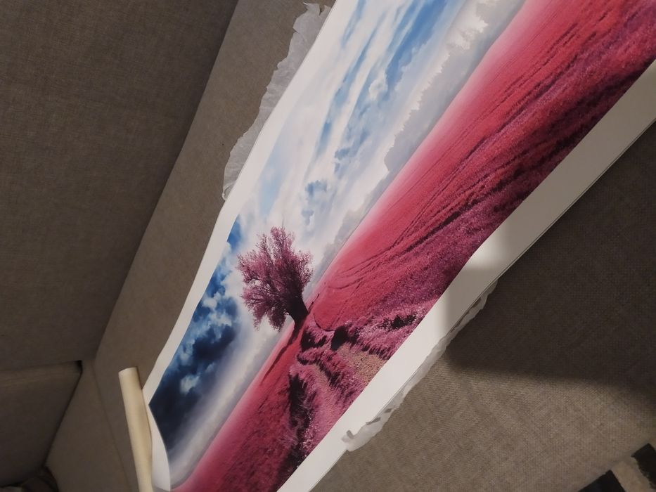 Obraz krajobraz lawenda