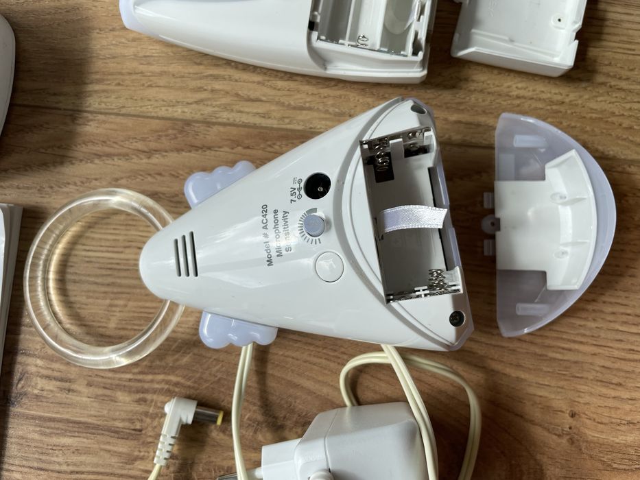 Elektroniczna niania