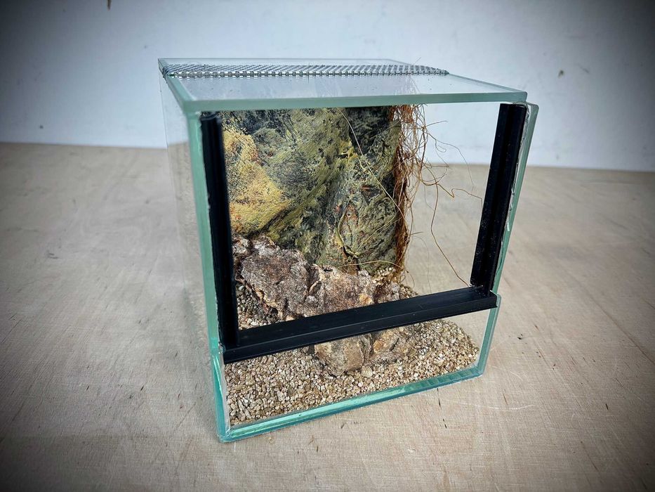 Malutkie terrarium z wystrojem typu gilotyna 15x15x15 cm. AlleTerra