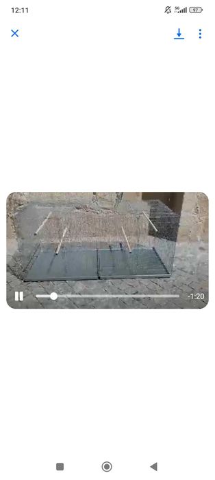 Viveiros grande dimensões