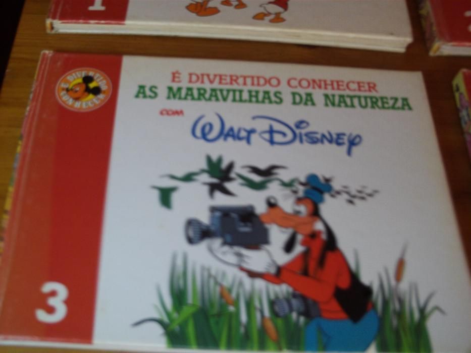 15 livros Walt Disney É divertido conhecer