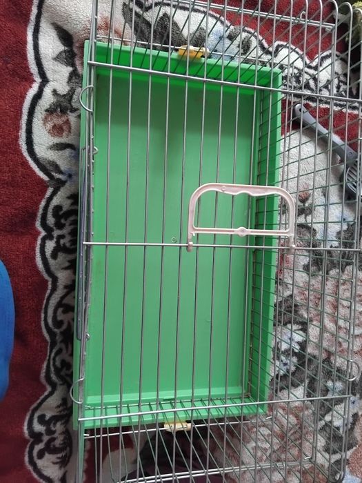 Продамо клітку для тварин