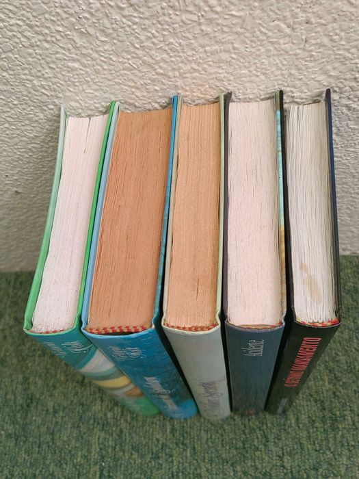 Lote 5 Livros Romance Capa Dura Círculo de Leitores (Victoria Holt, Danielle Steel, Lawrence Sanders)