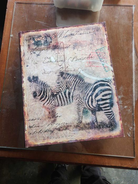 Livro com caixa secreta